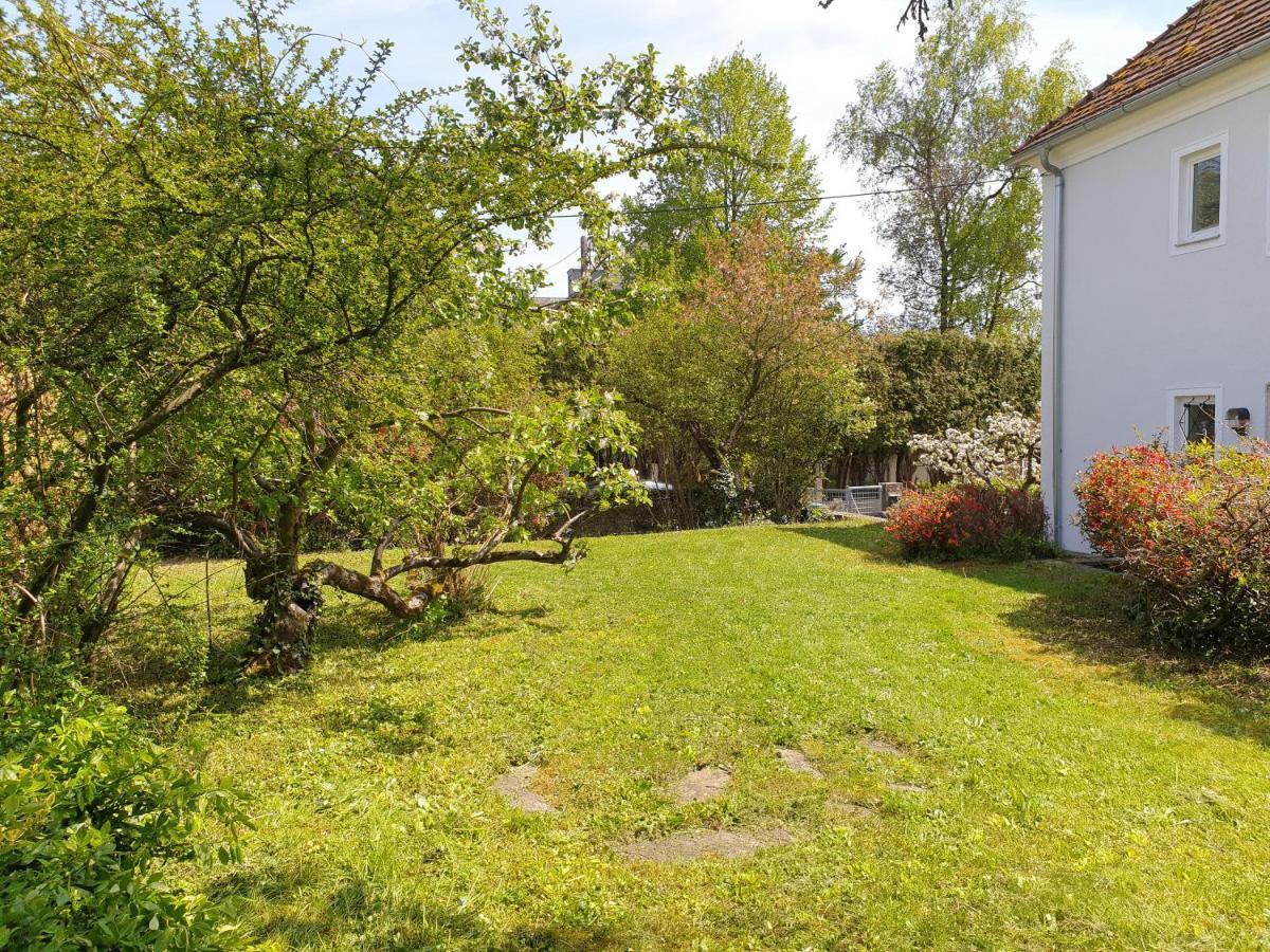 Family Apartment Linz Wohnen Mit Garten Am Fusse Des Poestlingbergs Top Lage Villenviertel Extérieur photo