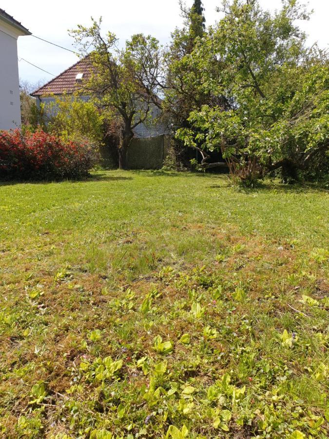 Family Apartment Linz Wohnen Mit Garten Am Fusse Des Poestlingbergs Top Lage Villenviertel Extérieur photo