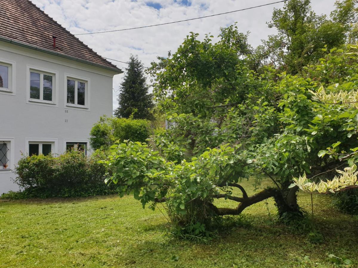 Family Apartment Linz Wohnen Mit Garten Am Fusse Des Poestlingbergs Top Lage Villenviertel Extérieur photo