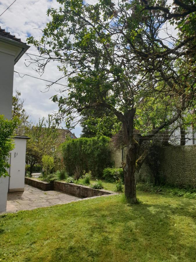 Family Apartment Linz Wohnen Mit Garten Am Fusse Des Poestlingbergs Top Lage Villenviertel Extérieur photo