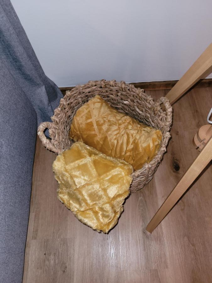 Family Apartment Linz Wohnen Mit Garten Am Fusse Des Poestlingbergs Top Lage Villenviertel Extérieur photo