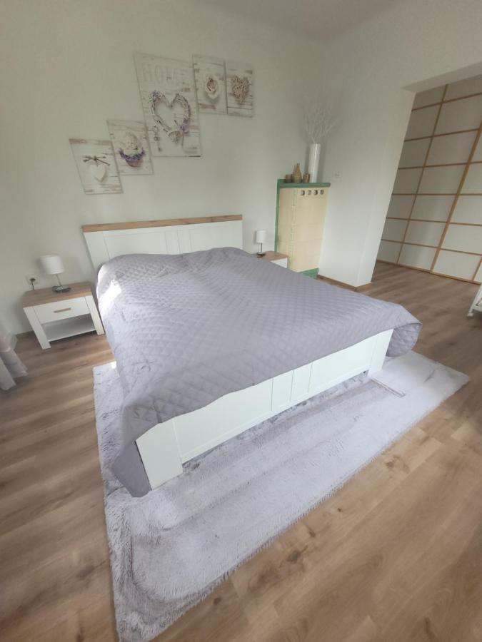Family Apartment Linz Wohnen Mit Garten Am Fusse Des Poestlingbergs Top Lage Villenviertel Extérieur photo