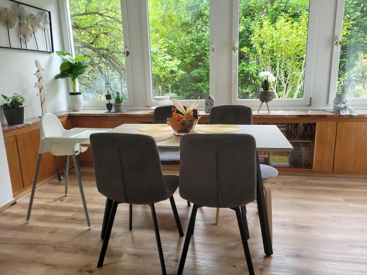 Family Apartment Linz Wohnen Mit Garten Am Fusse Des Poestlingbergs Top Lage Villenviertel Extérieur photo
