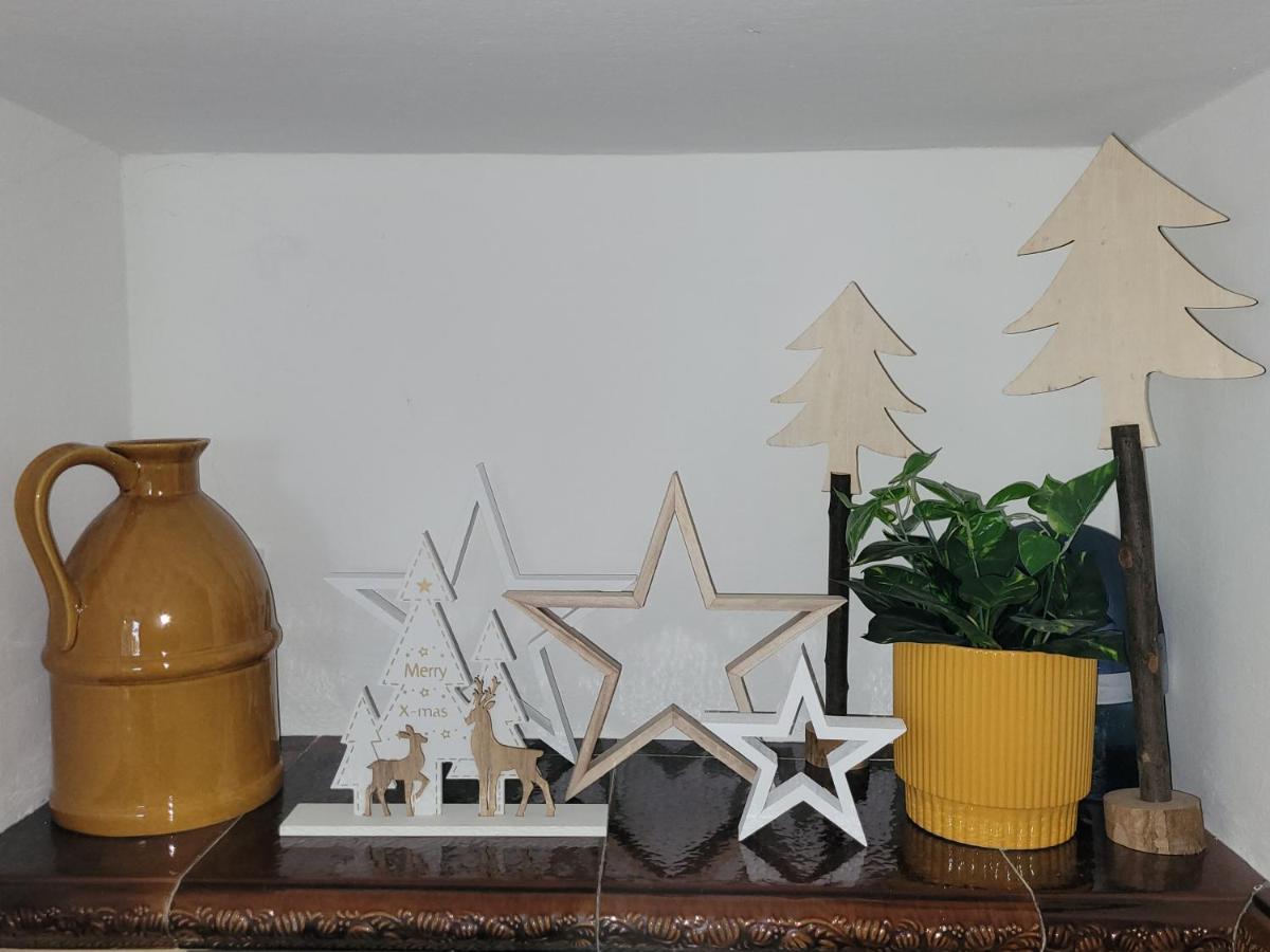 Family Apartment Linz Wohnen Mit Garten Am Fusse Des Poestlingbergs Top Lage Villenviertel Extérieur photo